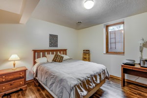 25 Lower Level Bedroom