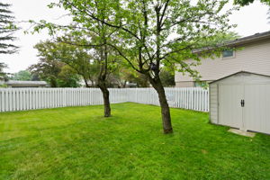  Photo 45