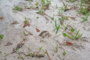  Photo 35