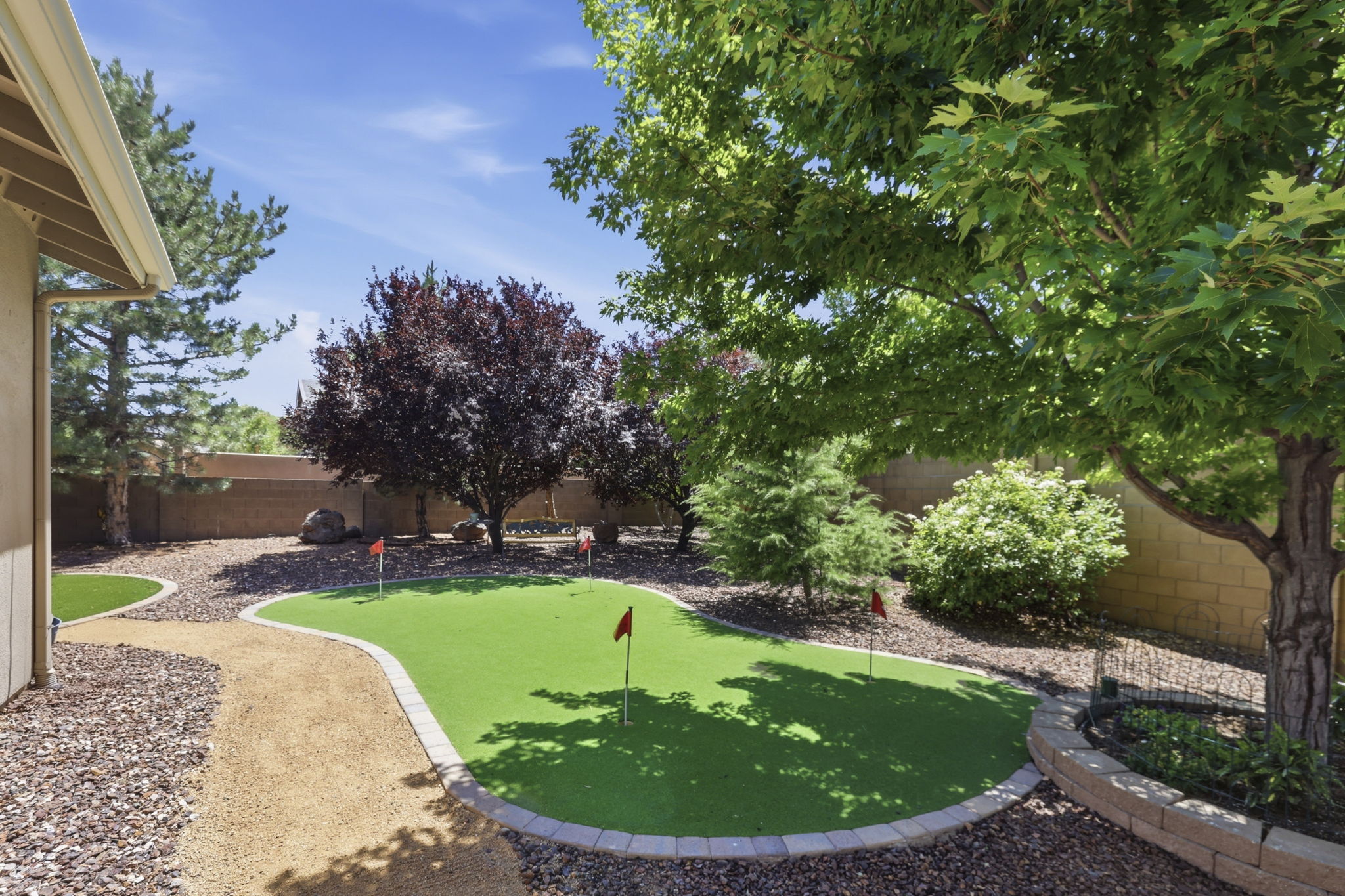Back Yard 3