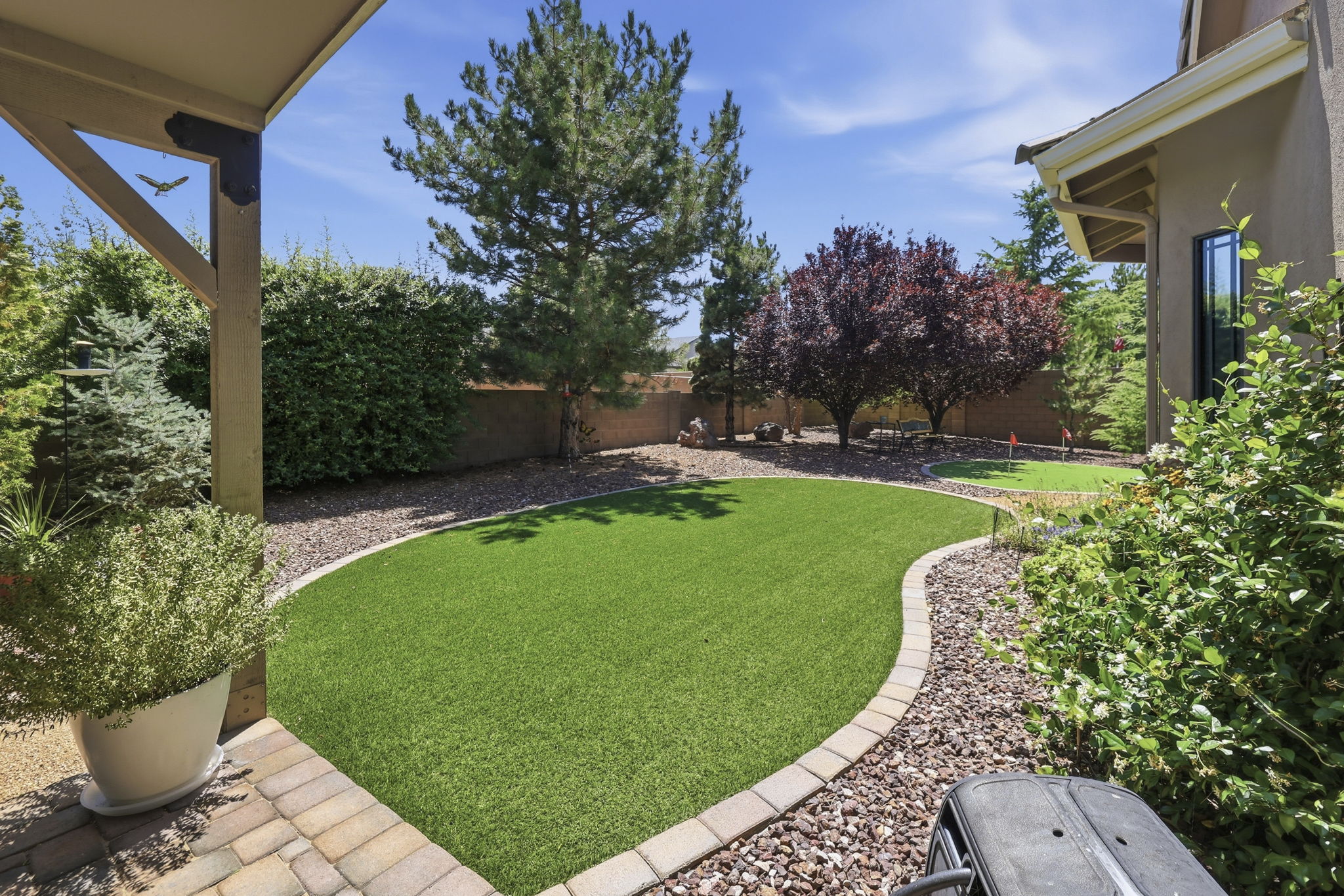 Back Yard