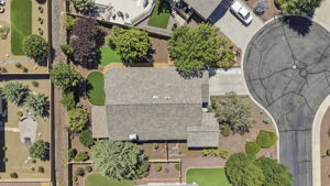 Birds Eye