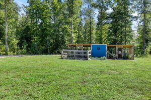  Photo 47