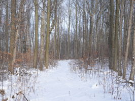  Photo 34