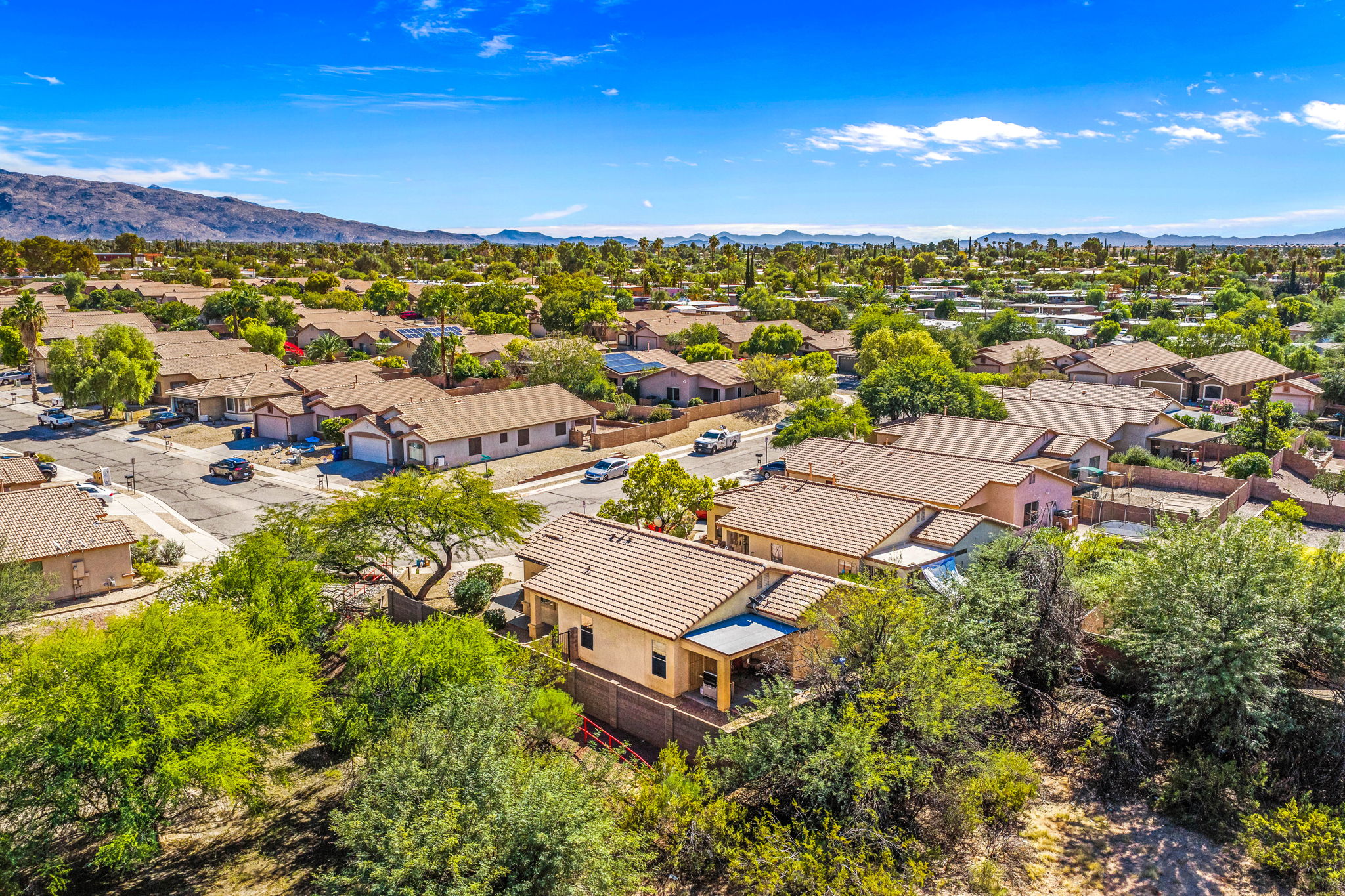 Aerial Green Space around the home
