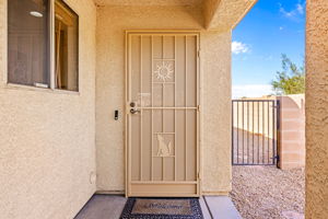 Decorative security door