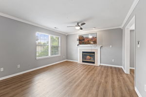 Living room with fireplace