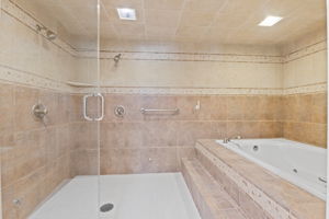 Dual shower, jetted tub, steam room combo