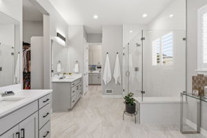 Beautiful primary bath