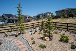 Low maintence yard which sides and backs to open space