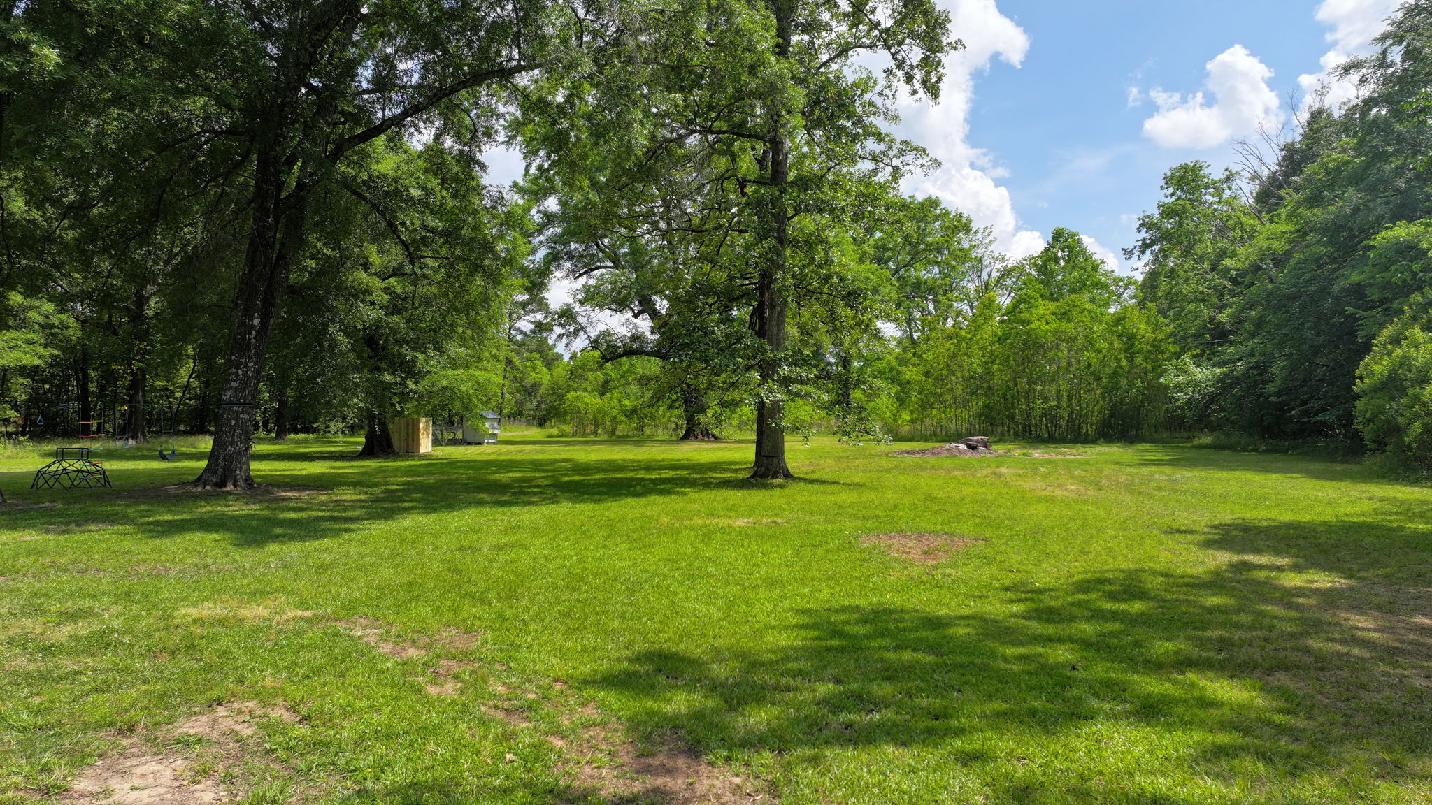 View from Back Porch/Driveway