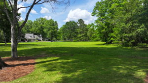 View from Front Door