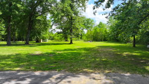 View from Back Porch/Driveway