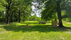 View from Back Porch/Driveway