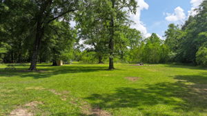 View from Back Porch/Driveway