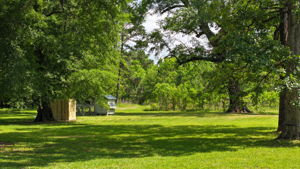 View from Back Porch/Driveway