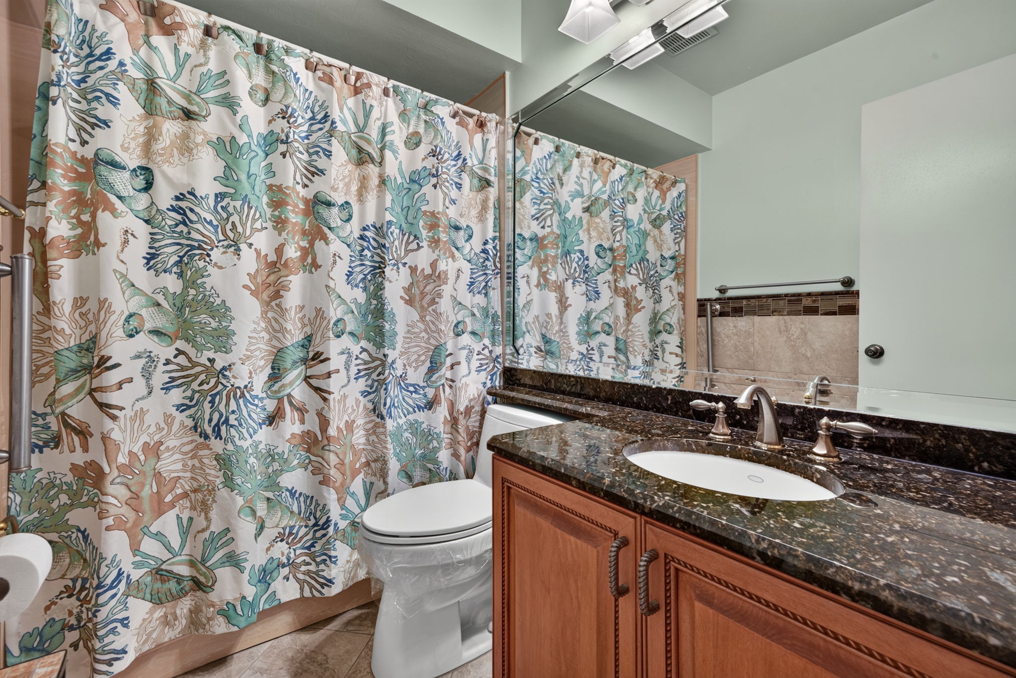 Guest Bathroom 1