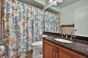 Guest Bathroom 1