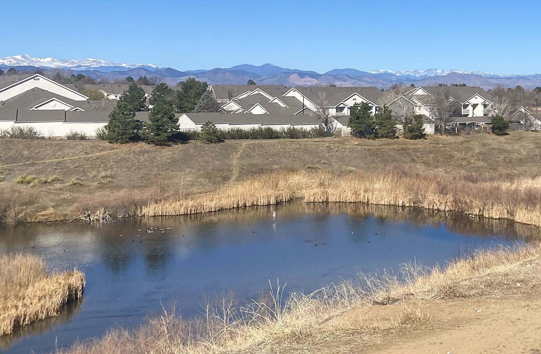 Views from covered patio: Ducks in the pond, walking trails and 470 bike and walking trails