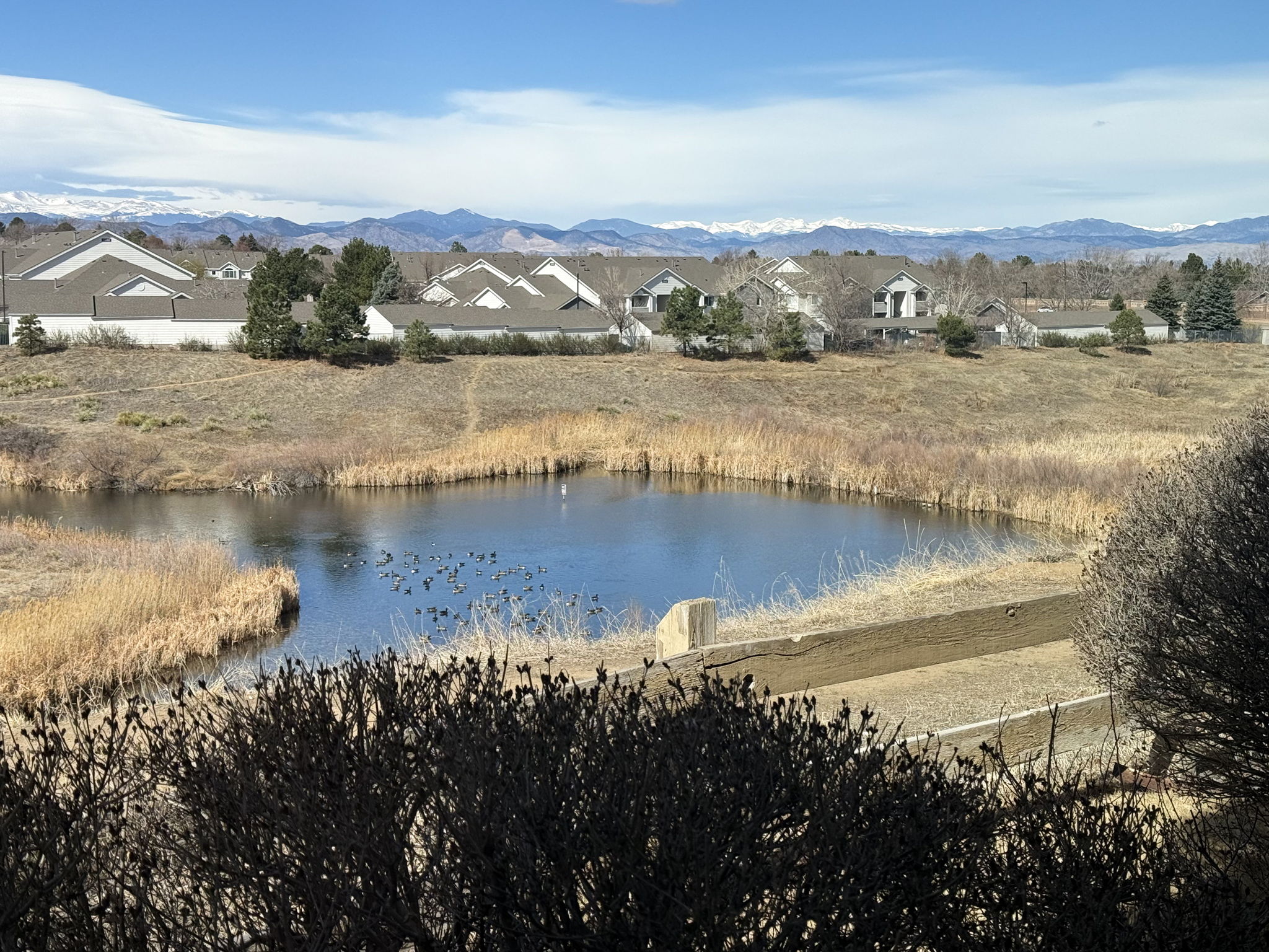 Breathtaking views of a tranquil pond, open space and majestic mountains from your patio