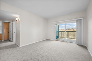 New Carpet throughout condo; Living Room without staging