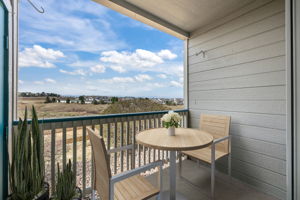 Covered Patio (virtually staged) with gorgeous view of the open space