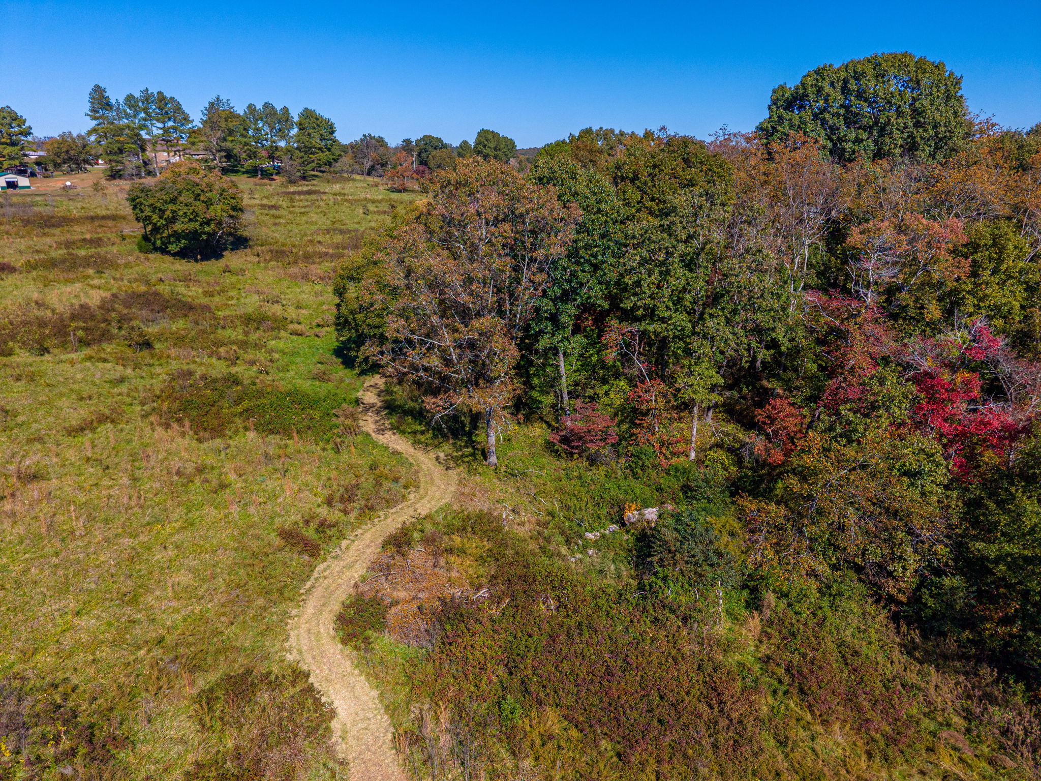  Photo 60