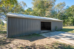  Photo 81