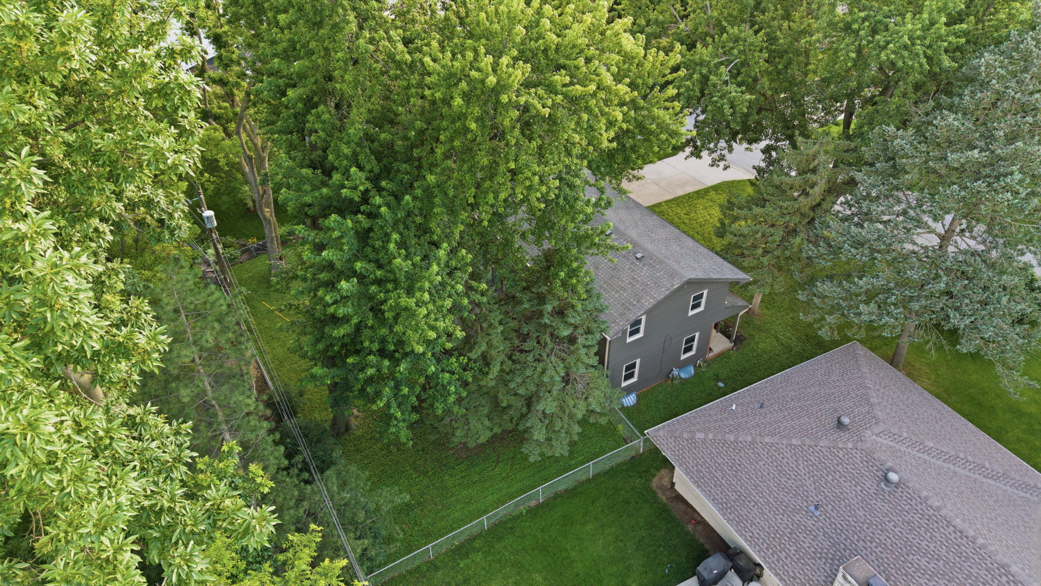  Photo 44