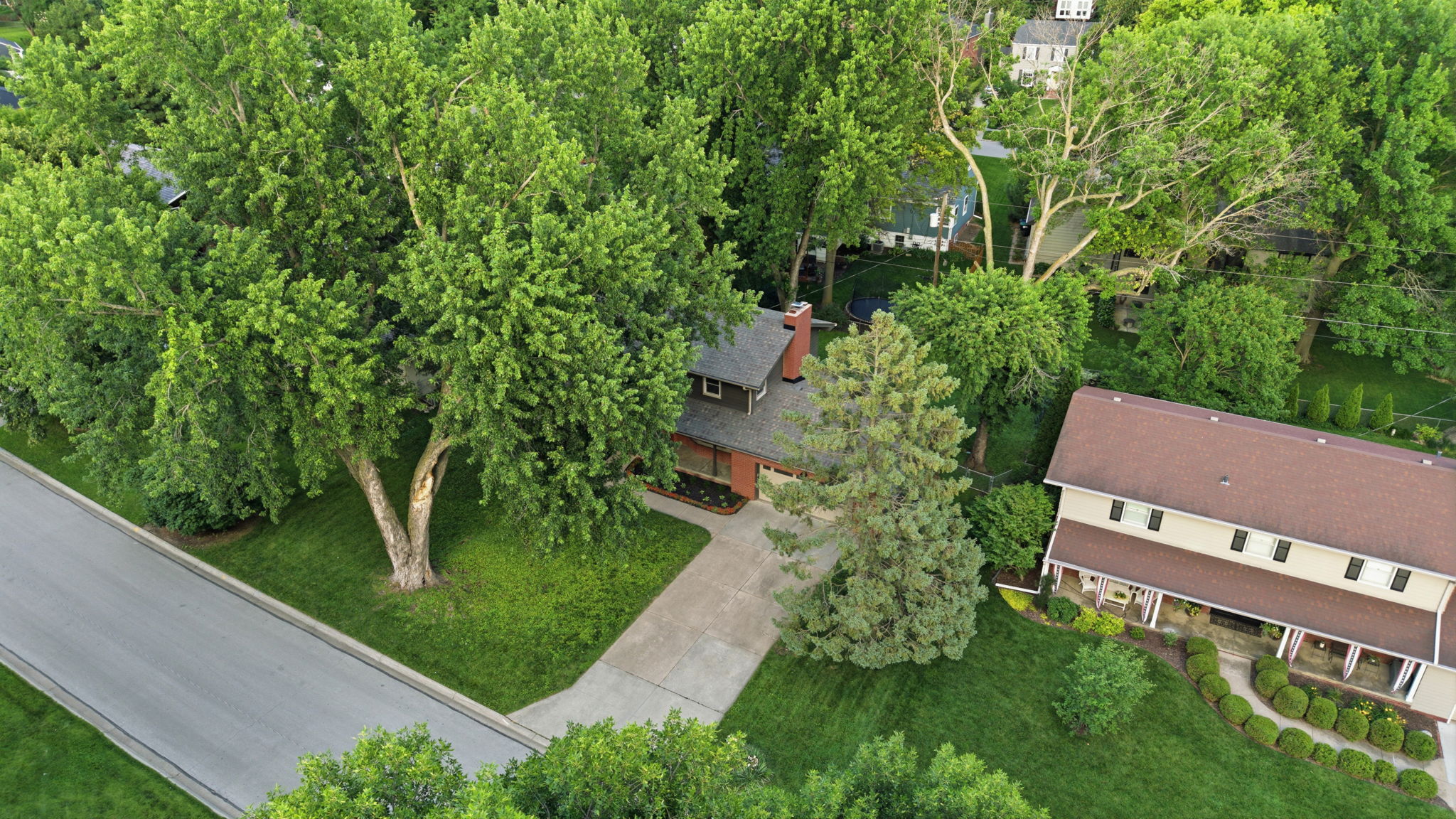  Photo 45