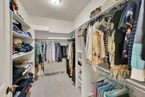  Photo 49