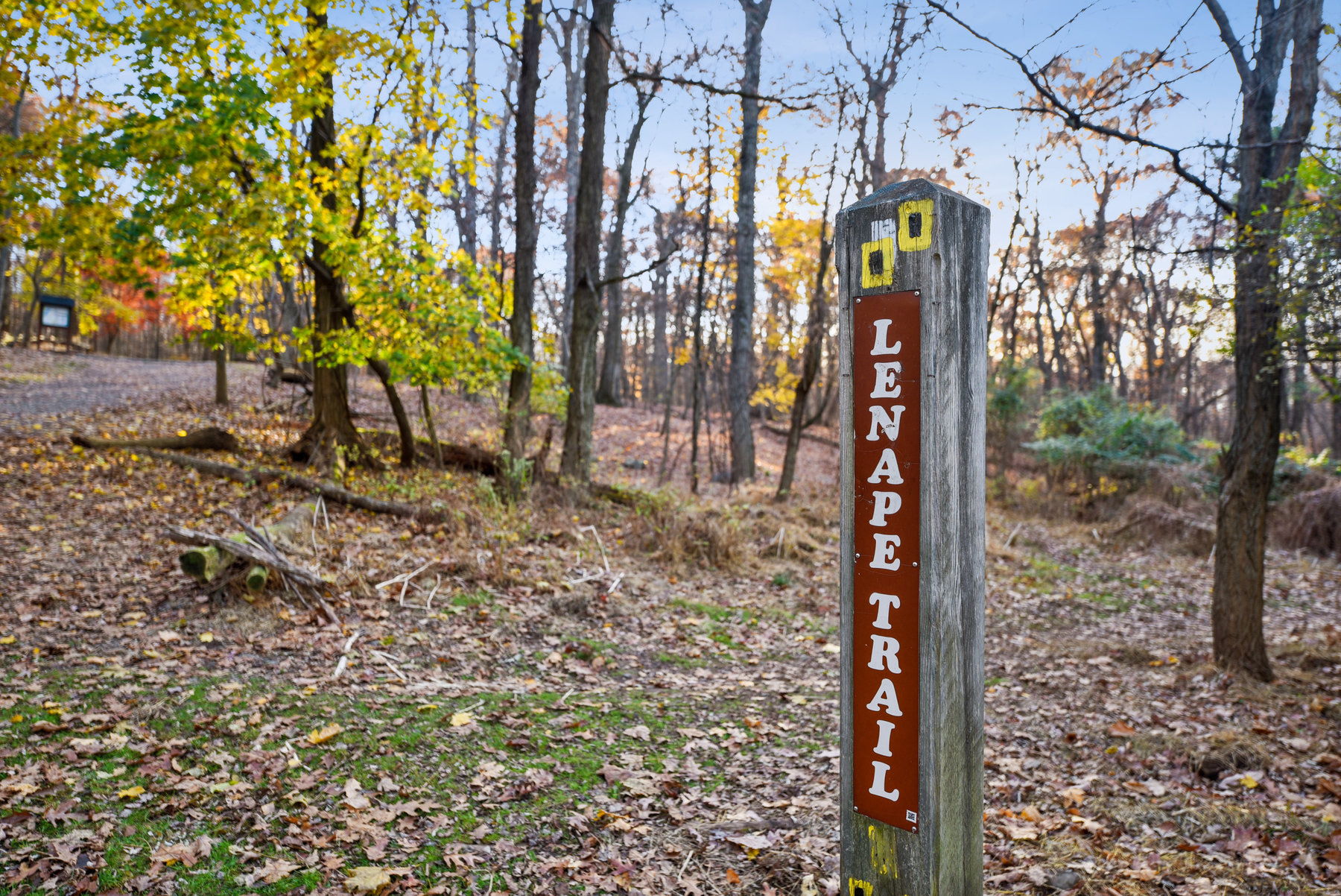 Nearby Hilltop Reservation invites you to explore the Lenape Trail, wooded paths and wildflower meadows - a lovely way to spend a little time outdoors.