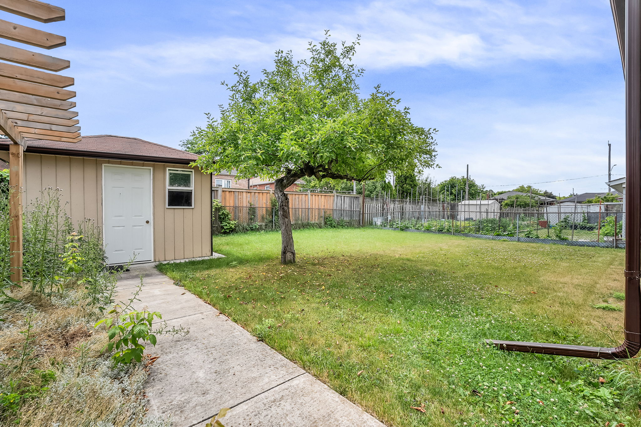 47-backyard1