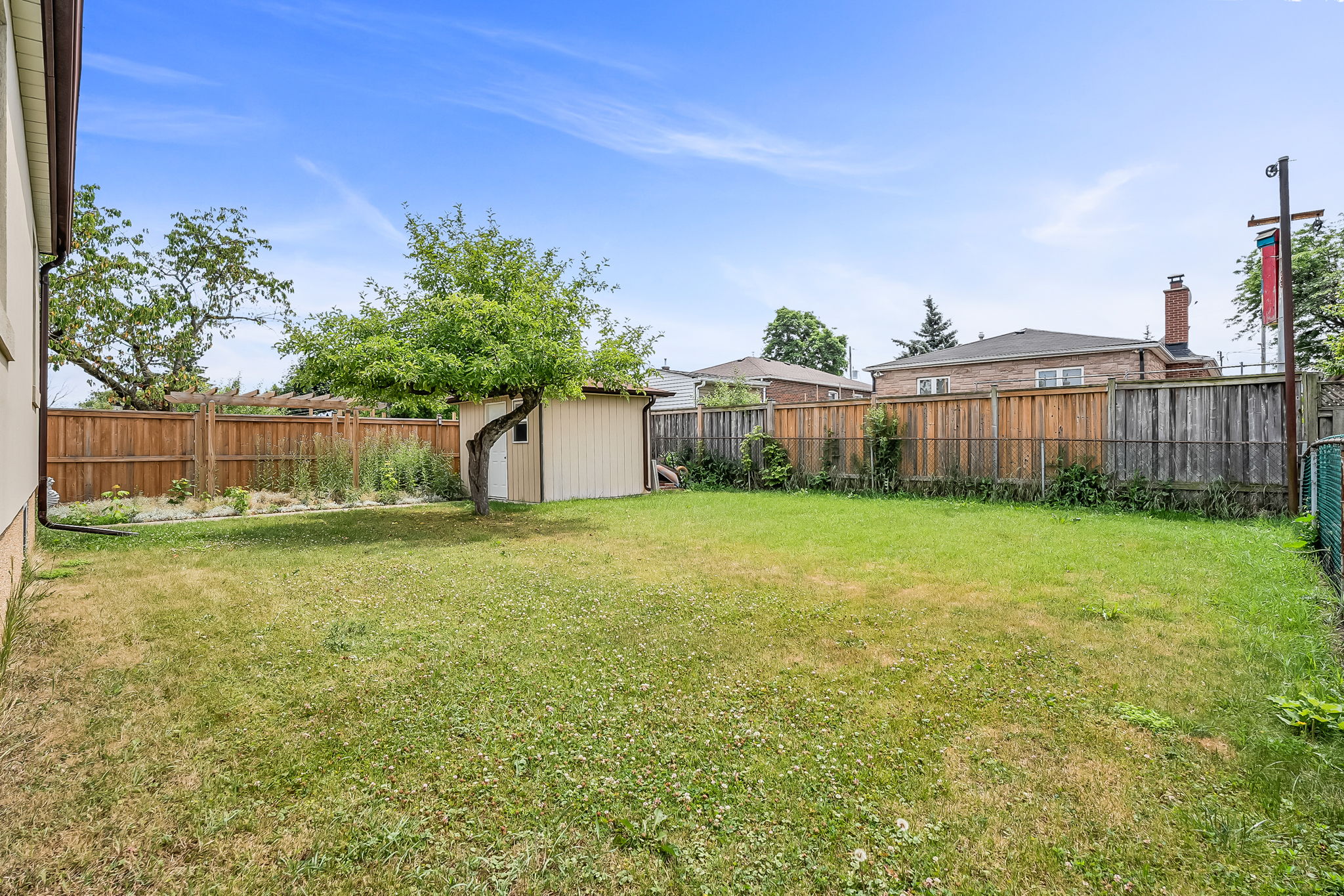 48-backyard2