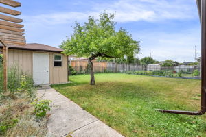 47-backyard1