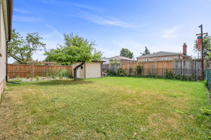 48-backyard2