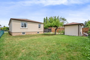 49-backyard3