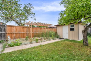 51-backyard5