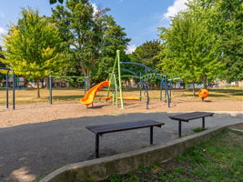  Photo 44