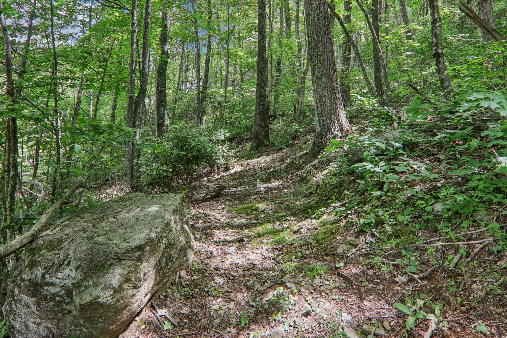 Hawk Nest Rd-1306-044.jpg