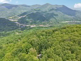 Hawk Nest Rd-1306-050.jpg
