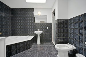  Photo 44