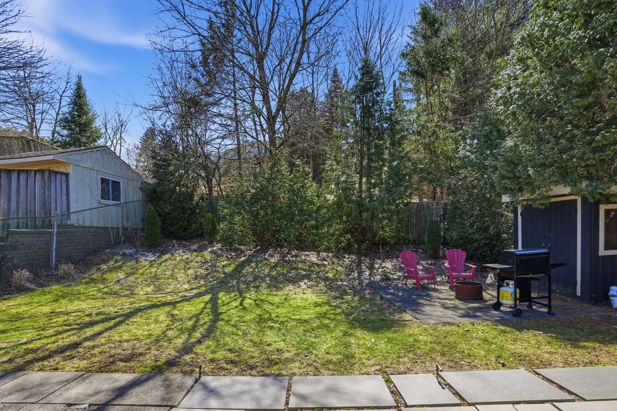 Beautiful Mature Trees