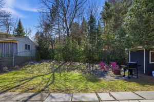 Beautiful Mature Trees