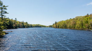  Photo 49