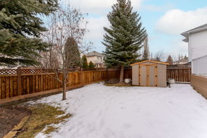  Photo 46