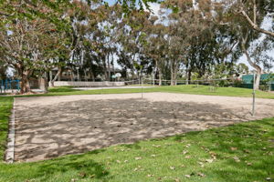  Photo 50
