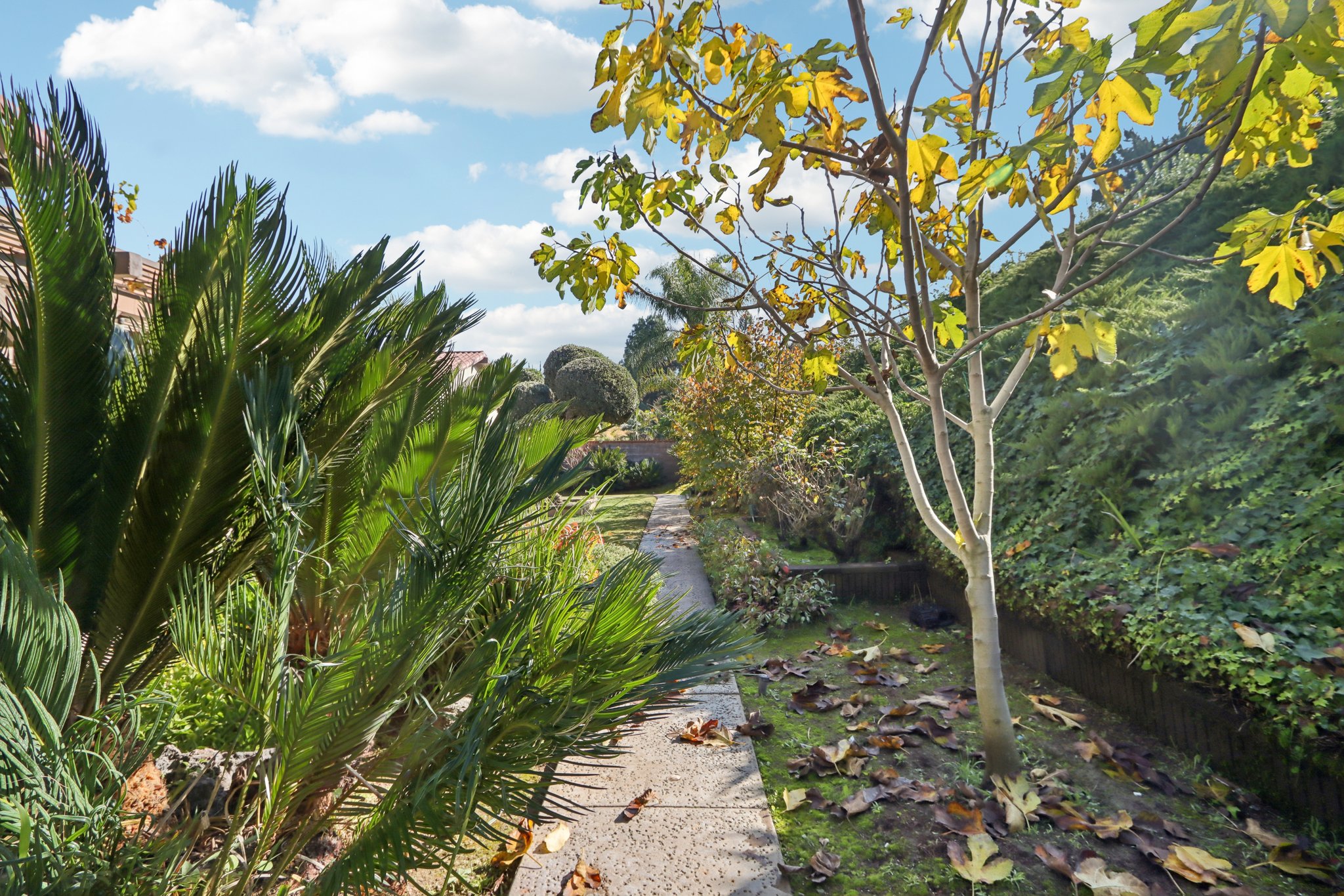 Kirkwood Ln-S0212-057.jpg