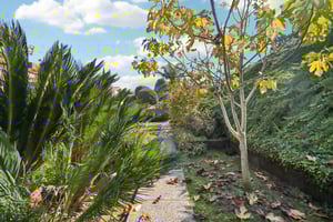 Kirkwood Ln-S0212-057.jpg