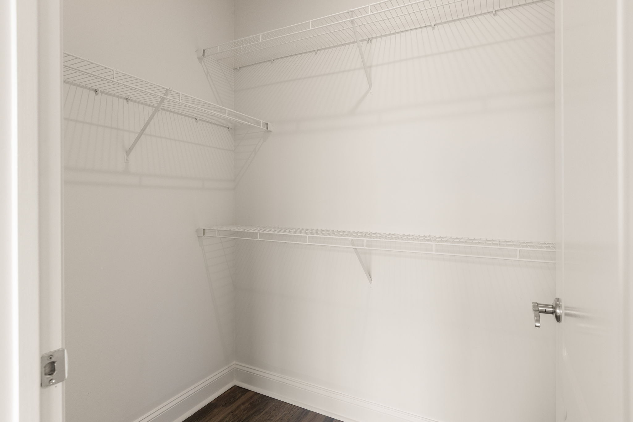 20260305_840united_roots010